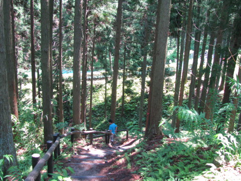 アスレチックフィールドへ向かう道