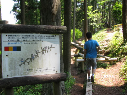 アスレチックで遊ぶ息子