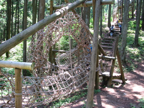 大亀山森林公園のアスレチック