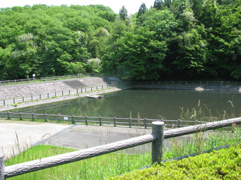 広場の横にある池