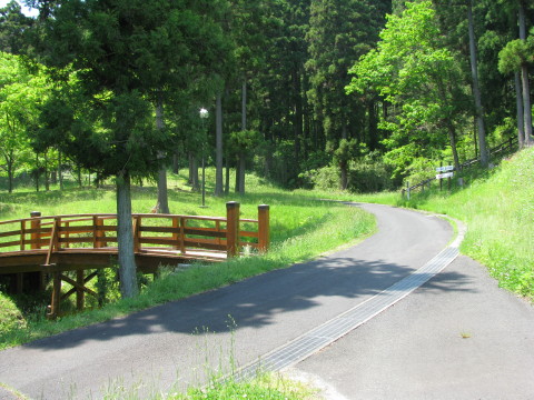 大亀山森林公園の駐車場とキャンプ場を結ぶ道