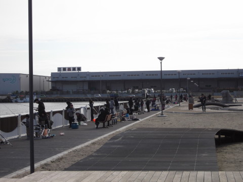 仙台港パークの釣り公園