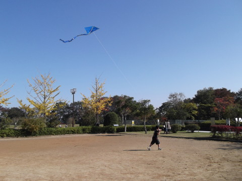 名取市の海の見える丘公園で凧揚げ