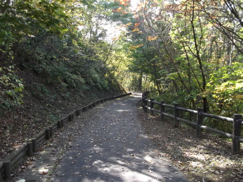「海の見える丘公園」の遊具広場へ続く遊歩道